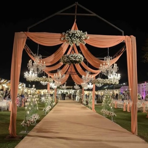 Mamma Events Picture